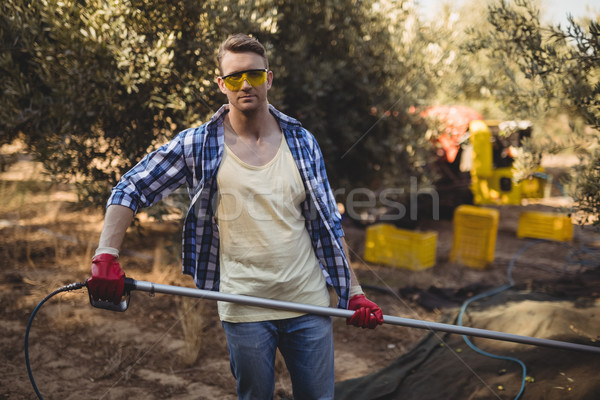 Confident young man using rake at olive farm Stock photo © wavebreak_media