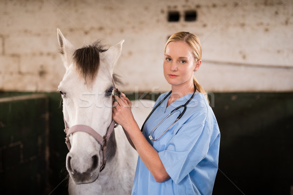 Retrato veterinário em pé cavalo estável parede Foto stock © wavebreak_media