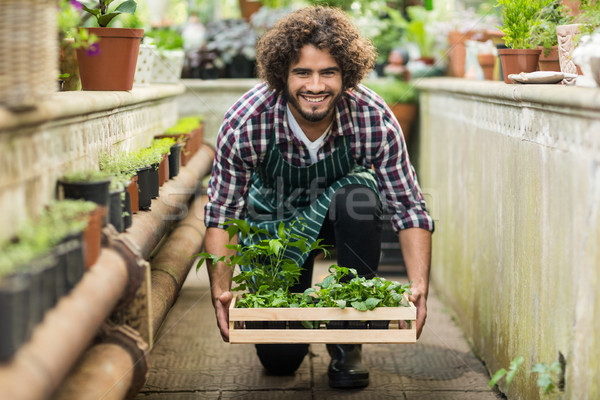 男 園丁 植物 肖像 地板 商業照片 © wavebreak_media