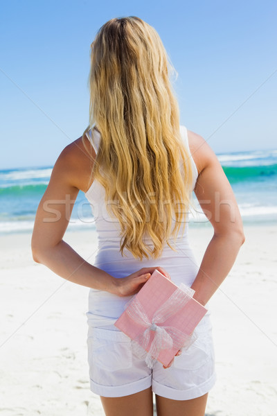 Blonde hiding present behind back on the beach Stock photo © wavebreak_media