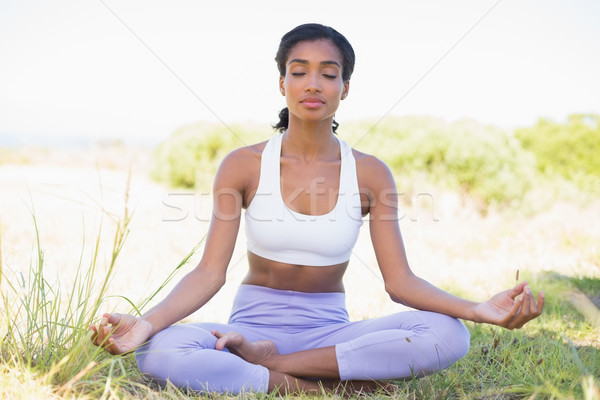 Fit woman sitting on grass in lotus pose with eyes closed Stock photo © wavebreak_media