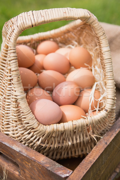 Basket of fresh organic eggs Stock photo © wavebreak_media