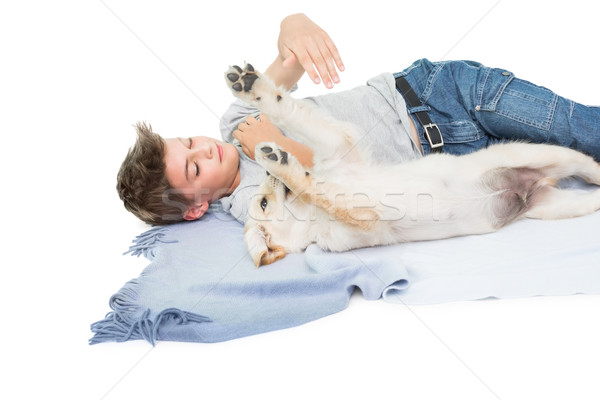 Junge spielen Hund Decke weiß Liebe Stock foto © wavebreak_media