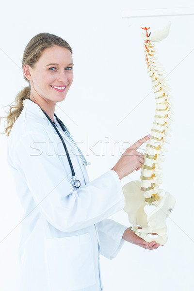 Női orvos anatómiai gerincoszlop fehér boldog Stock fotó © wavebreak_media