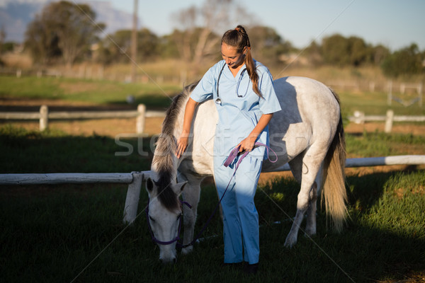 ветеринар лошади фермы женщины женщину трава Сток-фото © wavebreak_media