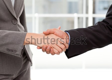 Handshake between two business people at work Stock photo © wavebreak_media