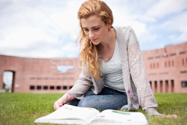 Stockfoto: Vrouw · lezing · boek · vergadering · gazon · glimlach