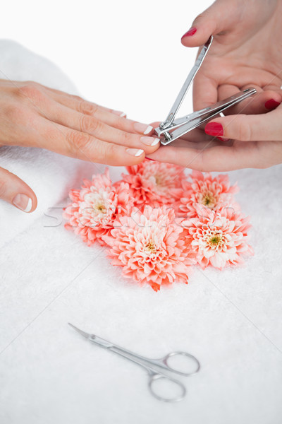 Close-up of woman cutting fingernail Stock photo © wavebreak_media