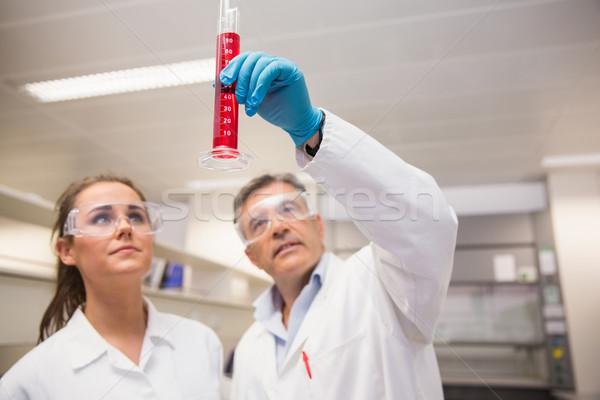 看 燒杯 紅色 液體 實驗室 學校 商業照片 © wavebreak_media