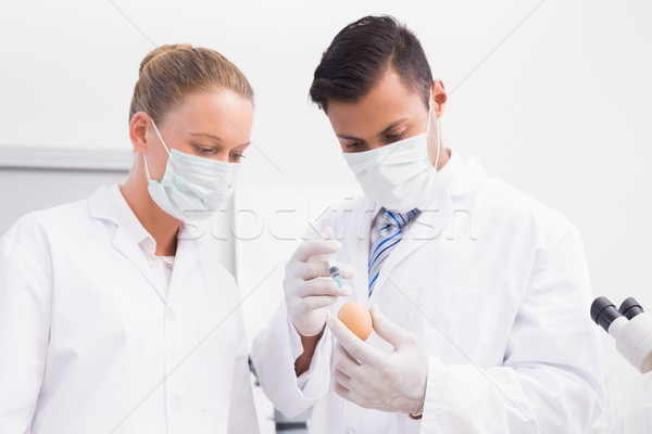 Oeuf laboratoire femme technologie science [[stock_photo]] © wavebreak_media