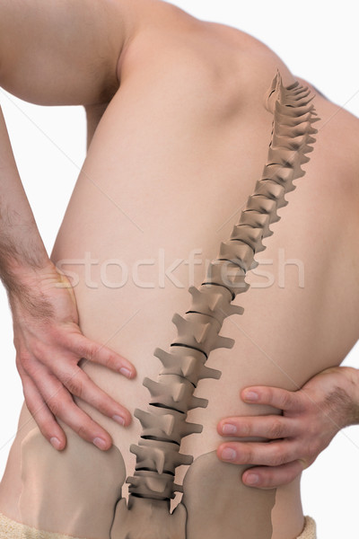 Dijital bileşik omurga adam sırt ağrısı beyaz takım Stok fotoğraf © wavebreak_media