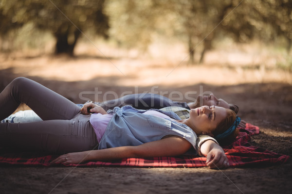 Young couple napping on mat at olive farm Stock photo © wavebreak_media
