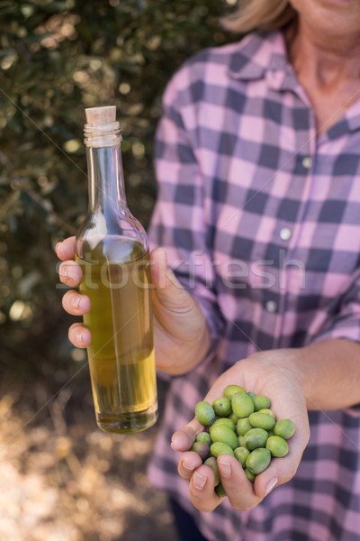 Woman holding olive oil and harvested olives Stock photo © wavebreak_media