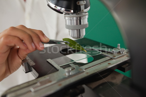 Mid-section of schoolboy using microscope Stock photo © wavebreak_media