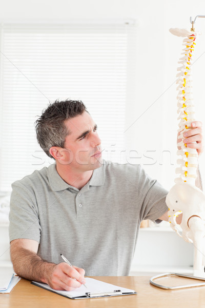 Stock photo: Male Doctor sitting at a table counting vertabras in a room