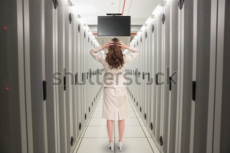 [[stock_photo]]: Technicien · serveur · entretien · tour