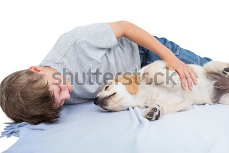 Foto stock: Veterinario · gatos · latido · del · corazón · oficina · mujer · trabajo