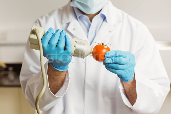 Food scientist using device on tomato Stock photo © wavebreak_media