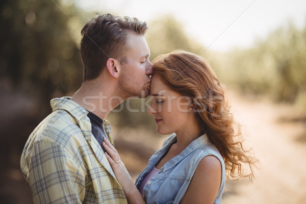 молодым человеком целоваться женщину оливкового фермы вид сбоку Сток-фото © wavebreak_media