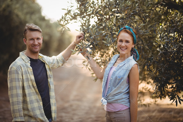 Retrato Pareja olivo pie granja Foto stock © wavebreak_media