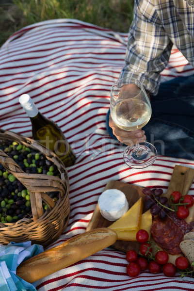 Adam oturma cam şarap piknik battaniye çiftlik Stok fotoğraf © wavebreak_media