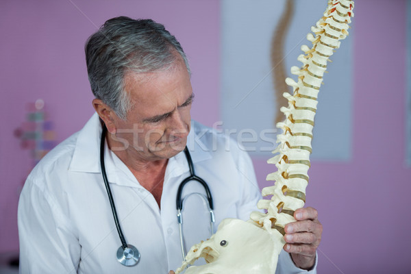 Examinar espina modelo clínica hombre hospital Foto stock © wavebreak_media