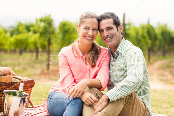 Foto stock: Retrato · feliz · Pareja · relajante · manta · vina