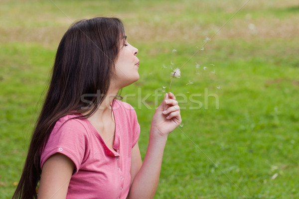 Stock foto: Jungen · entspannt · Frau · Löwenzahn · stehen