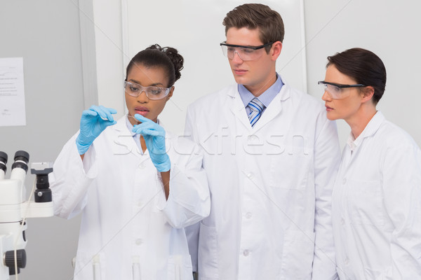 Naukowcy patrząc eksperymentowanie laboratorium kobieta technologii Zdjęcia stock © wavebreak_media