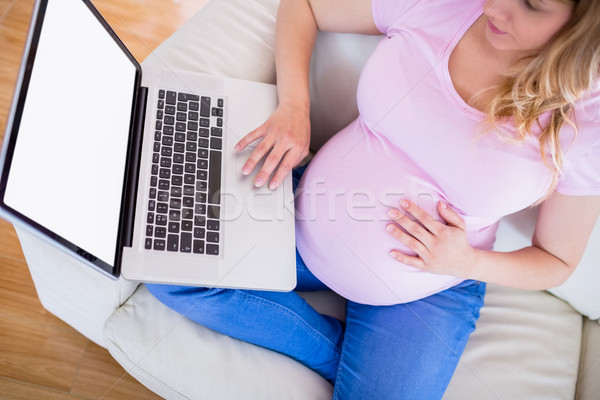 Terhes nő laptopot használ otthon nappali számítógép ház Stock fotó © wavebreak_media
