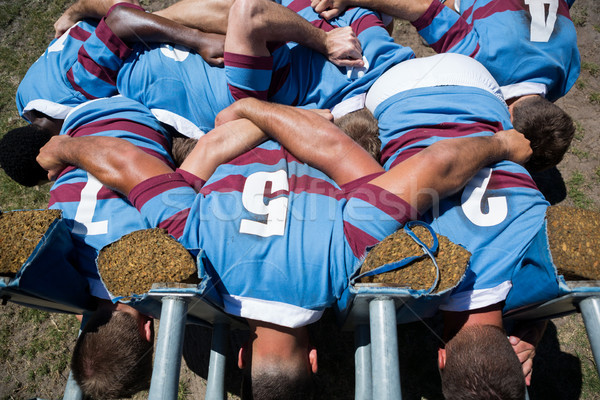 Overhead view of rugby players making huddle Stock photo © wavebreak_media