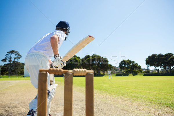 Vue de côté cricket joueur jouer domaine ciel clair [[stock_photo]] © wavebreak_media