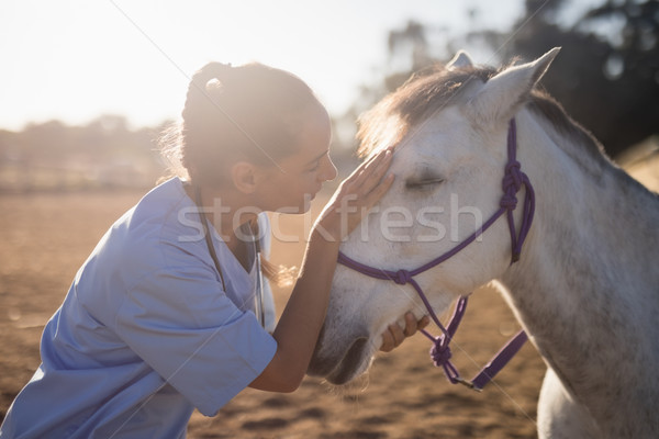 Foto stock: Vista · lateral · femenino · veterinario · caballo · granero · mujer