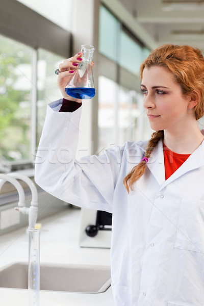 Portrait of a chemist looking at a blue liquid in an Erlenmeyer flask Stock photo © wavebreak_media