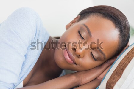 Zwarte vrouw woonkamer gelukkig zwarte salon Stockfoto © wavebreak_media