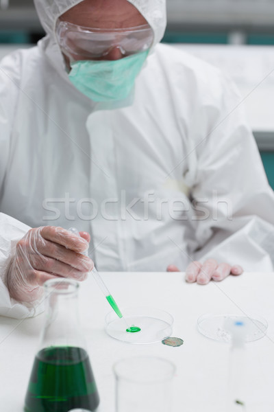 Stock photo: Chemist in protective suit adding green liquid to petri dish in the lab