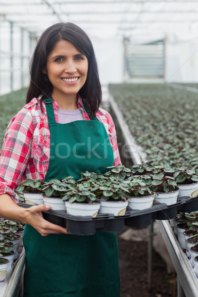 微笑的女人 框 植物 溫室 商業照片 © wavebreak_media