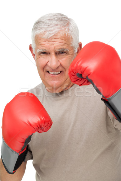 Portret starszy bokser biały Zdjęcia stock © wavebreak_media