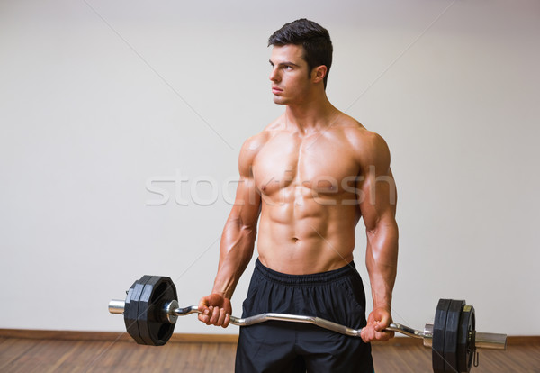 Torse nu musculaire homme barbell gymnase [[stock_photo]] © wavebreak_media