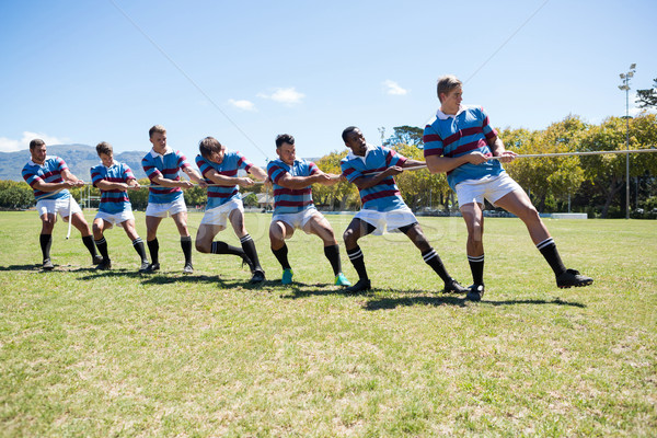 Rugby players pulling rope while standing on grassy field Stock photo © wavebreak_media