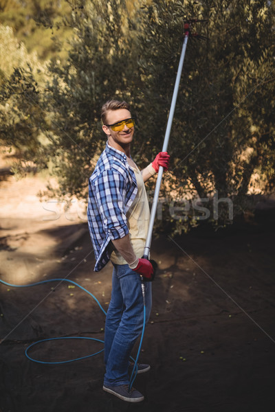 Portrait of smiling man using olive rake at farm Stock photo © wavebreak_media