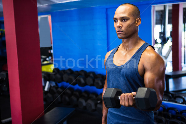 Déterminé homme haltères fitness studio [[stock_photo]] © wavebreak_media