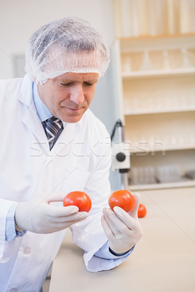 Alimentaire scientifique regarder rouge tomate laboratoire [[stock_photo]] © wavebreak_media