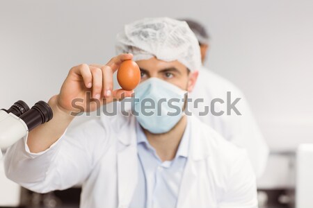 ученого яйцо лаборатория технологий науки мужчины Сток-фото © wavebreak_media