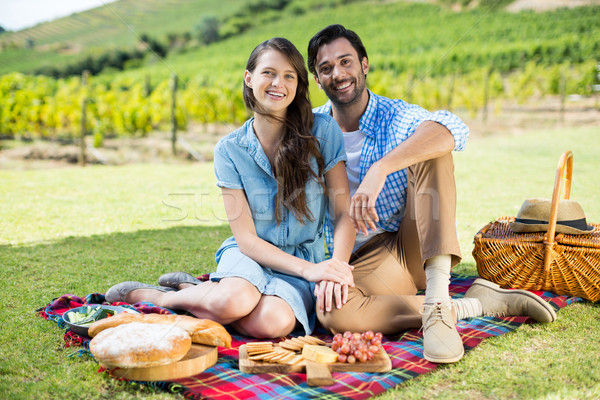 Portret szczęśliwy para posiedzenia koc piknikowy winnicy Zdjęcia stock © wavebreak_media