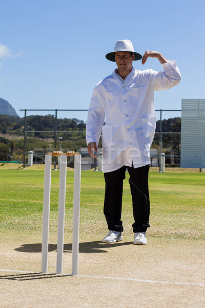Kriket hakem bir kısa imzalamak maç Stok fotoğraf © wavebreak_media