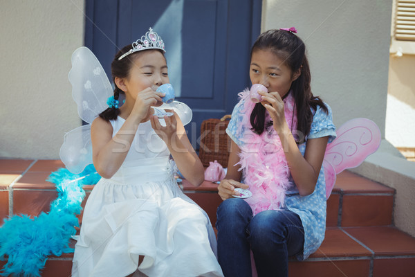 Siblings in fairy costume having a tea party Stock photo © wavebreak_media