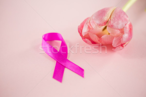 High angle view of Breast Cancer Awareness ribbon with tulip Stock photo © wavebreak_media