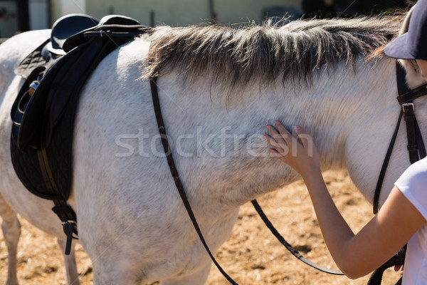 Fille toucher cheval blanc ranch heureux [[stock_photo]] © wavebreak_media
