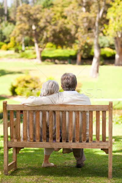 商业照片: 情侣 · 长凳 ·爱· 背面 · 公园 ·女 / lovers on the